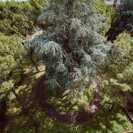 ゲストハウス Dea Opi ローマ